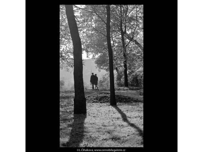 Dvojice mezi stromy (5670), žánry - Praha 1967 říjen, černobílý obraz, stará fotografie, prodej