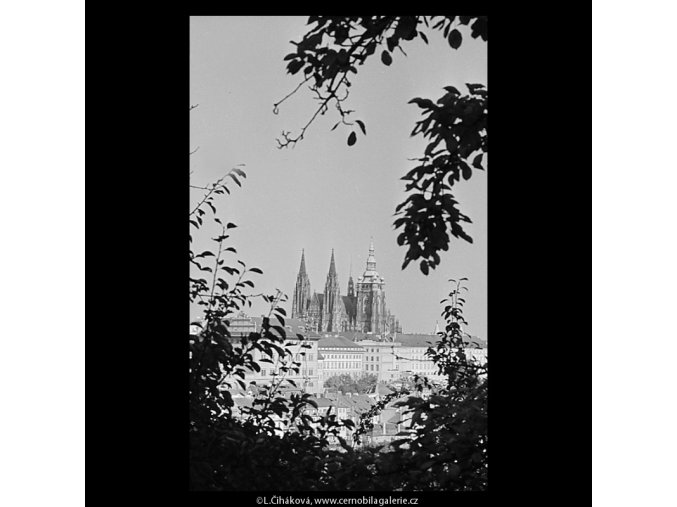 Pohled na Hrad (5682-4), Praha 1967 říjen, černobílý obraz, stará fotografie, prodej