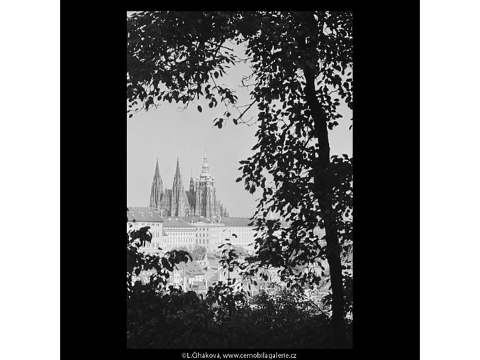 Pohled na Hrad (5682-3), Praha 1967 říjen, černobílý obraz, stará fotografie, prodej