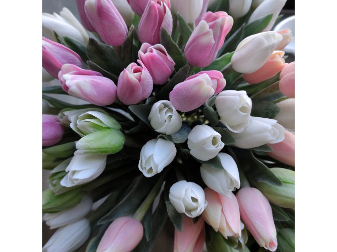 tulipany menší I