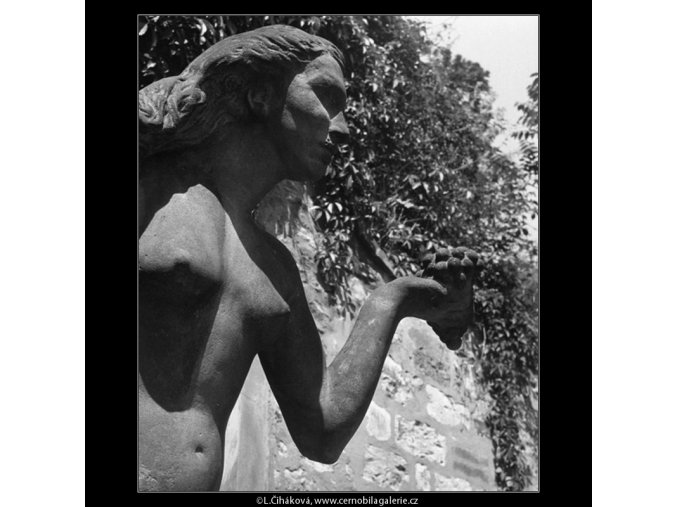 Dar nebes a země (166-4), Praha 1959 červen, černobílý obraz, stará fotografie, prodej