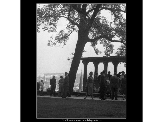 V jižních zahradách Hradu (266-12), Praha 1959 , černobílý obraz, stará fotografie, prodej