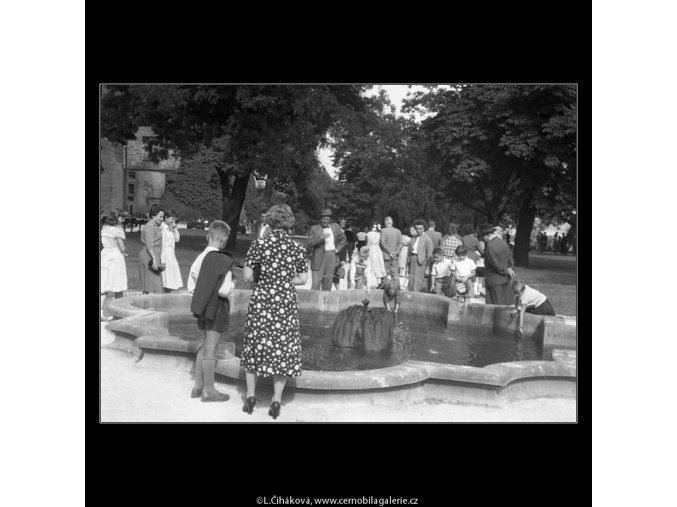 U jezírka v jižních zahradách (266-13), Praha 1959 , černobílý obraz, stará fotografie, prodej