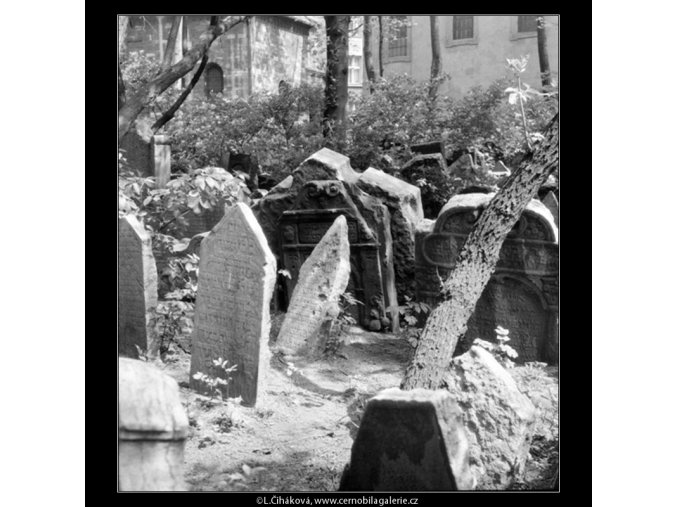 Ze židovského hřbitova (608-7), Praha 1960 květen, černobílý obraz, stará fotografie, prodej