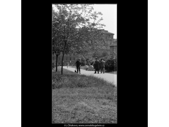 Procházka Kampou (637-10), Praha 1960 červen, černobílý obraz, stará fotografie, prodej