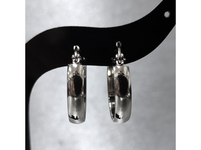 603309 I Náušnice  Kruhy oblinka