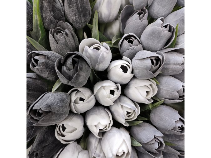 tulipány 44 černobílý mix
