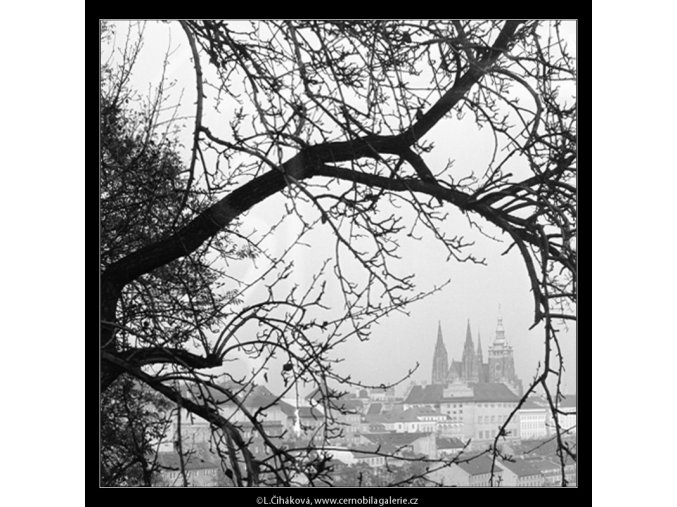 Pohled na Hrad (964-4), Praha 1960 listopad, černobílý obraz, stará fotografie, prodej