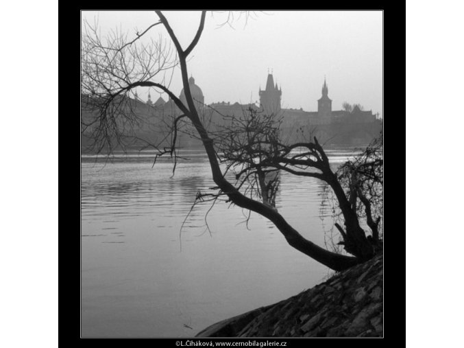 Věže a most skrz strom (1088-8), Praha 1961 březen, černobílý obraz, stará fotografie, prodej