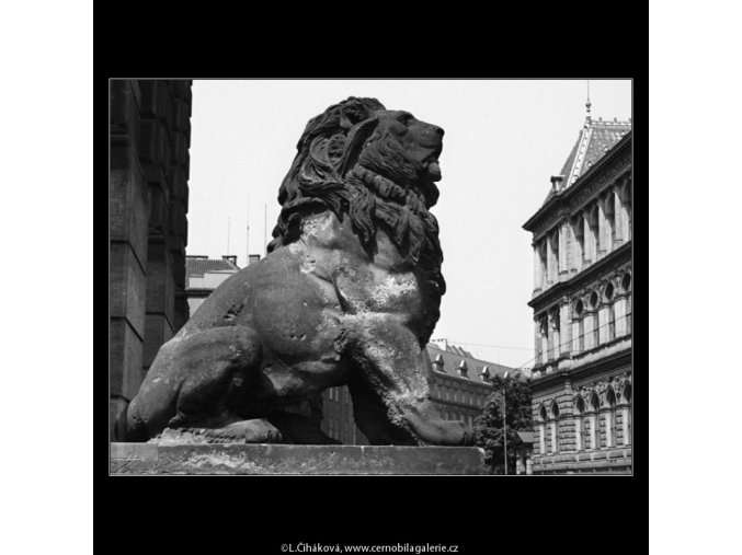 Sedící lev (1384), Praha 1961 , černobílý obraz, stará fotografie, prodej