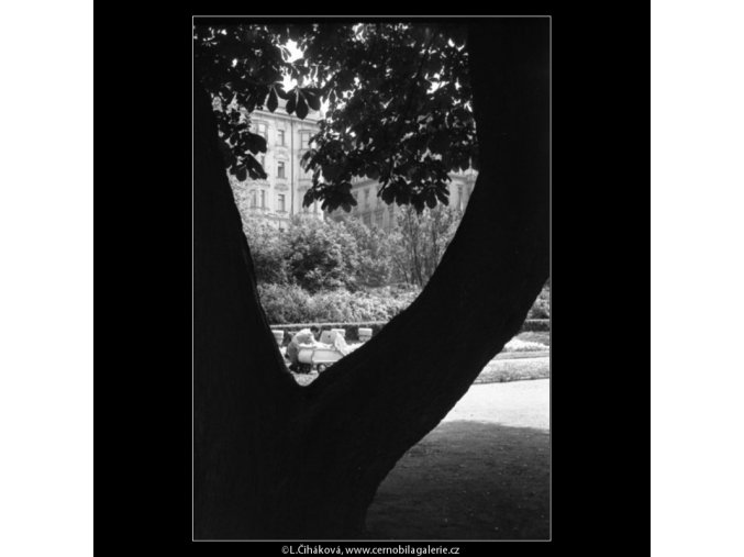 Otec s kočárkem (1406), žánry - Praha 1961 jaro, černobílý obraz, stará fotografie, prodej