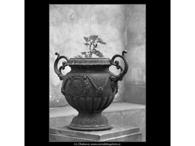 Ozdobná váza (1590-1), Praha 1962 květen, černobílý obraz, stará fotografie, prodej