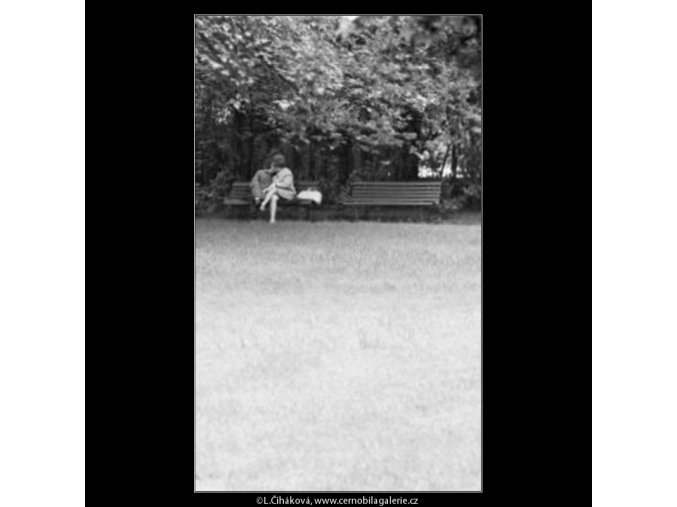 Milenci na lavičce (1689), žánry - Praha 1962 květen, černobílý obraz, stará fotografie, prodej