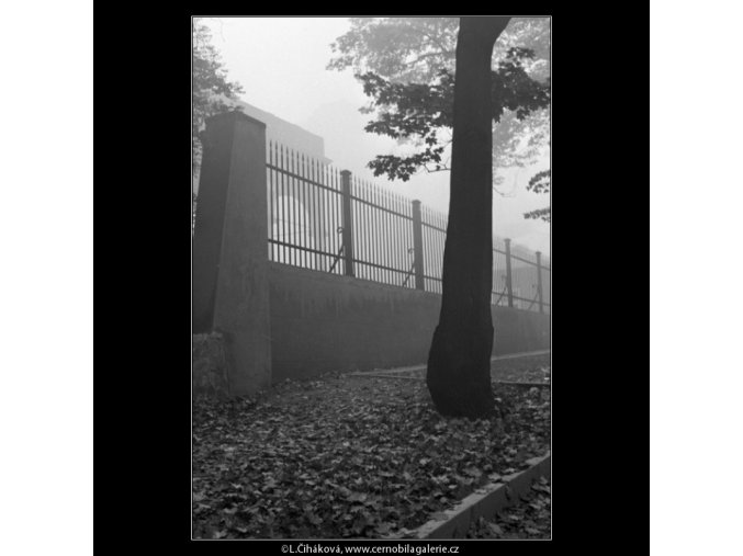 Z Belvederu (1891-1), Praha 1962 říjen, černobílý obraz, stará fotografie, prodej