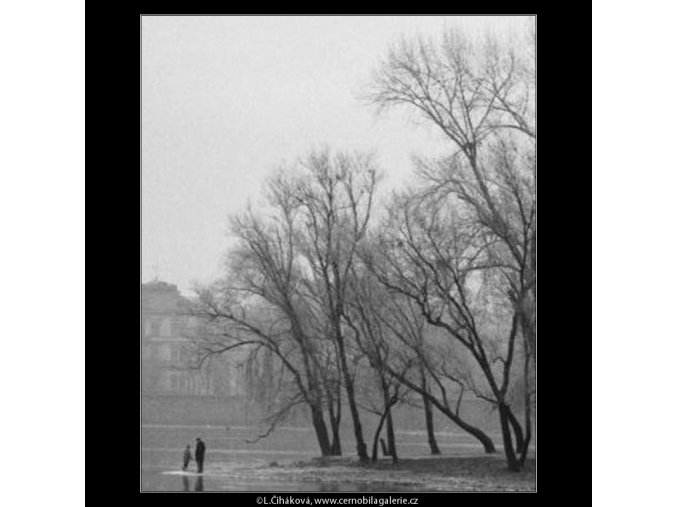 Špička Střeleckého ostrova (1936), žánry - Praha 1962 prosinec, černobílý obraz, stará fotografie, prodej