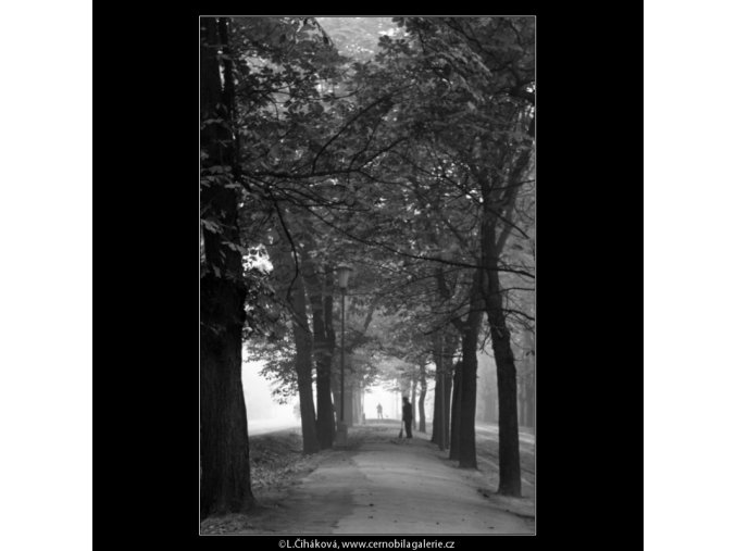 Metaři a stromořadí (1864), žánry - Praha 1962 říjen, černobílý obraz, stará fotografie, prodej