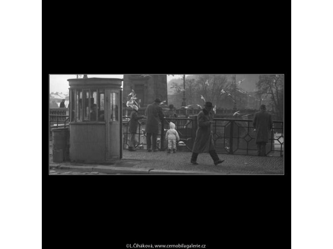 Krmení racků (2073-2), žánry - Praha 1963 duben, černobílý obraz, stará fotografie, prodej
