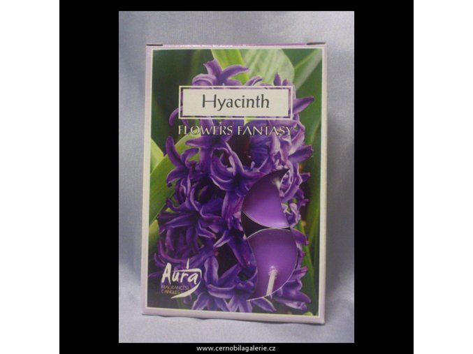 4375 caj svicky hyacint