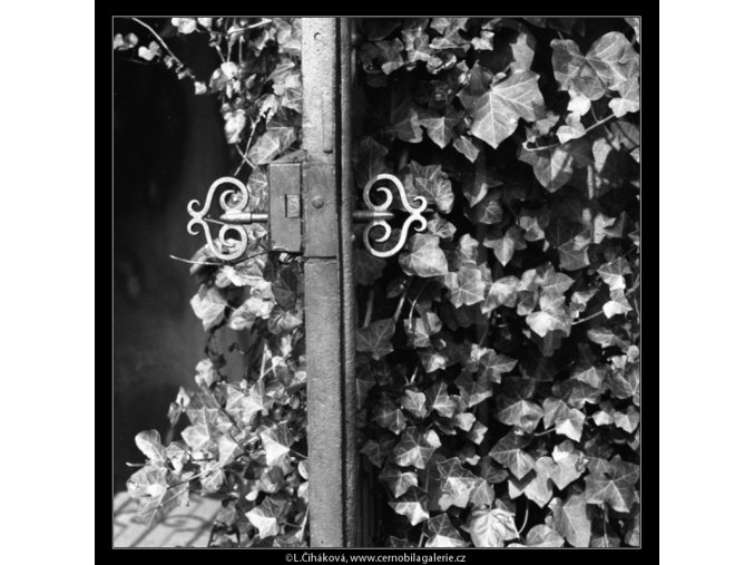 Zámek na dveřích (2394-3), Praha 1963 září, černobílý obraz, stará fotografie, prodej