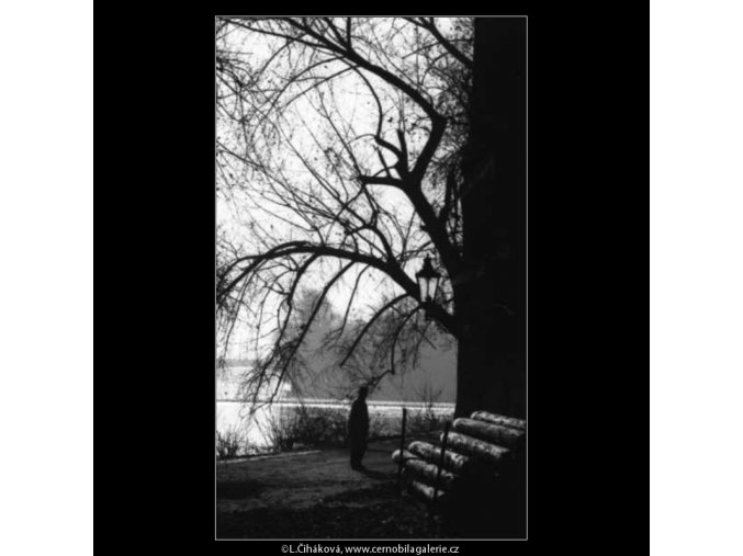 Zákoutí na Kampě (2673), žánry - Praha 1964 leden, černobílý obraz, stará fotografie, prodej