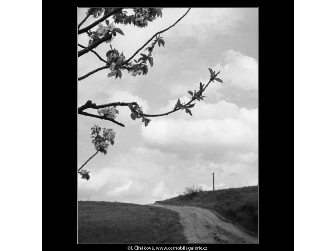 Cesta (2886), žánry - Praha 1964 květen, černobílý obraz, stará fotografie, prodej