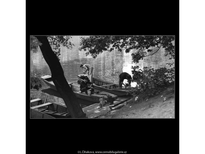 U břehu (3032-2), žánry - Praha 1964 červen, černobílý obraz, stará fotografie, prodej