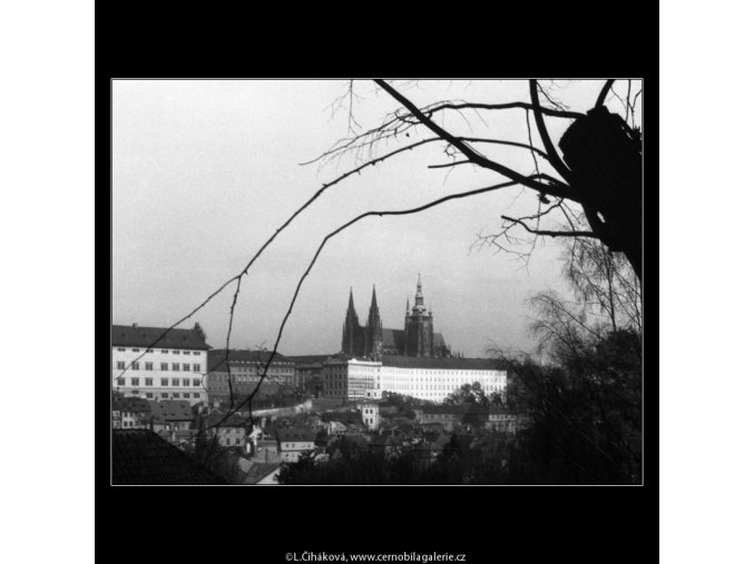 Pohled na Pražský hrad (385), Praha 1959 , černobílý obraz, stará fotografie, prodej