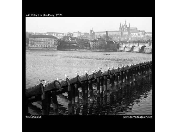 Pohled na Hradčany (743), Praha 1959 , černobílý obraz, stará fotografie, prodej