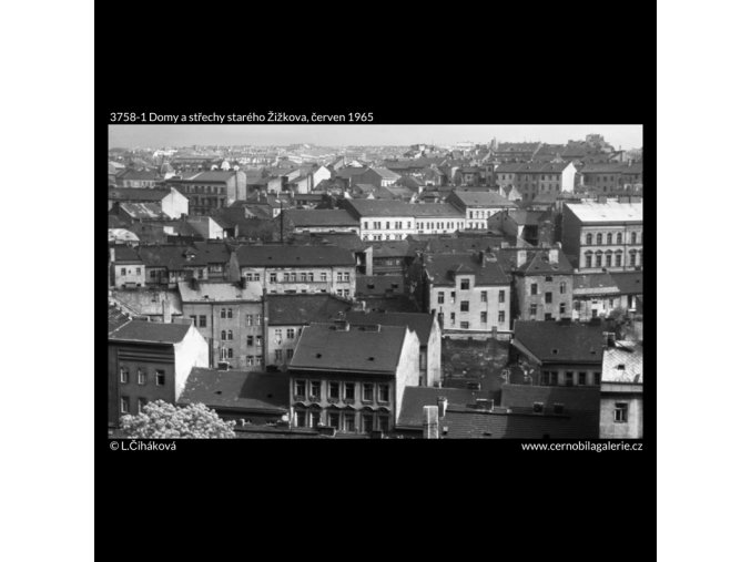 Domy a střechy starého Žižkova (3758-1), Praha 1965 červen, černobílý obraz, stará fotografie, prodej