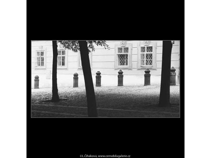 Stromy a patníky (3815), žánry - Praha 1965 červenec, černobílý obraz, stará fotografie, prodej