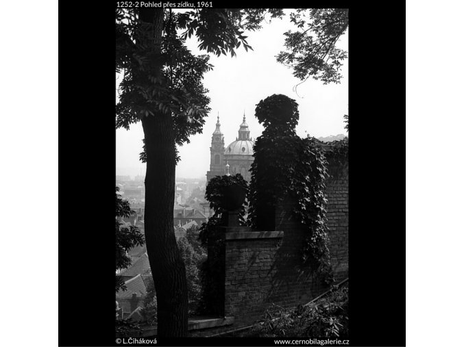 Pohled přes zídku (1252-2), Praha 1961 , černobílý obraz, stará fotografie, prodej