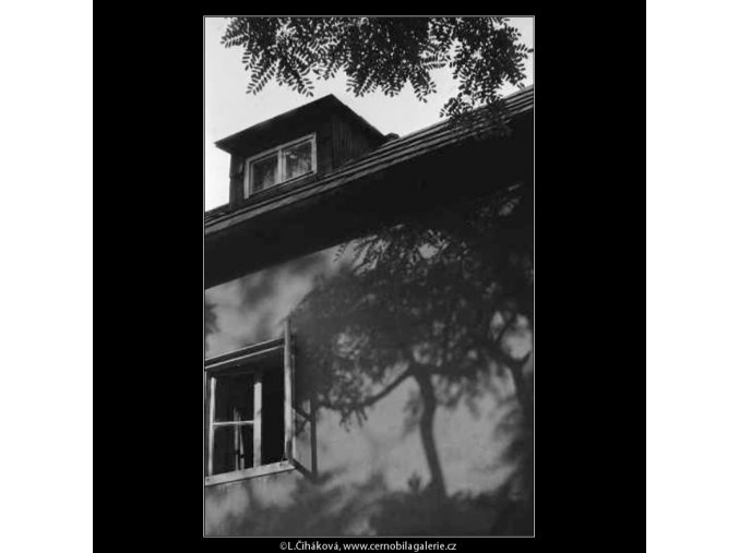 Stín stromu (3918), žánry - Praha 1965 srpen, černobílý obraz, stará fotografie, prodej