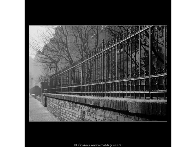 Mříže (4251), Praha 1966 leden, černobílý obraz, stará fotografie, prodej