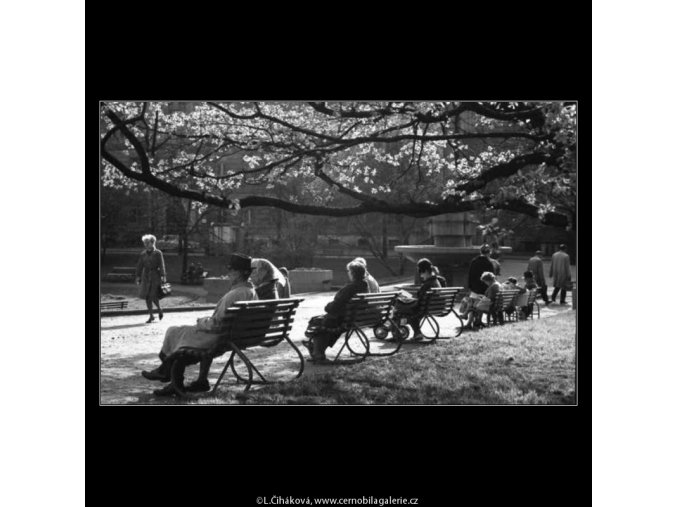 Lidé na lavičce v parku (4465-5), žánry - Praha 1966 duben, černobílý obraz, stará fotografie, prodej