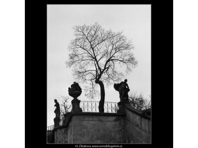 Z Vrtbovské zahrady (2155), Praha 1963 duben, černobílý obraz, stará fotografie, prodej