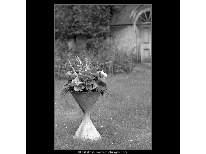 Ozdobné vázy s květinami (4829-2), Praha 1966 září, černobílý obraz, stará fotografie, prodej
