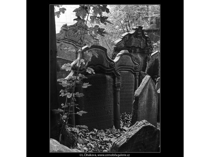 Starý židovský hřbitov (4929-1), Praha 1966 říjen, černobílý obraz, stará fotografie, prodej
