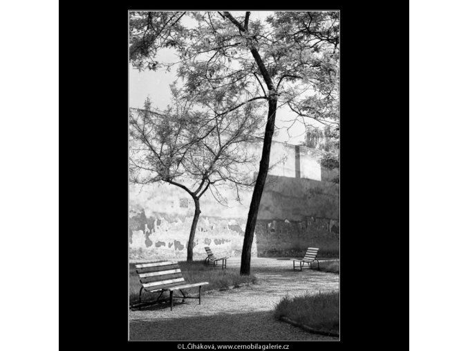 Parčík a lavičky (4528), žánry - Praha 1966 květen, černobílý obraz, stará fotografie, prodej