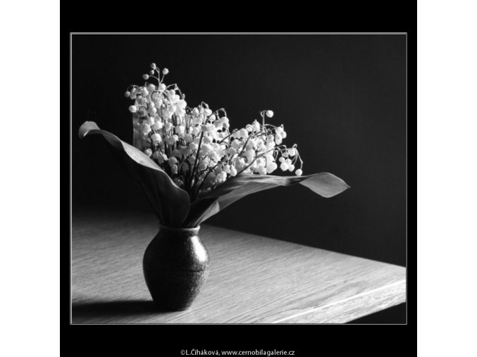 Konvalinky (4545-1), žánry - Praha 1966 květen, černobílý obraz, stará fotografie, prodej