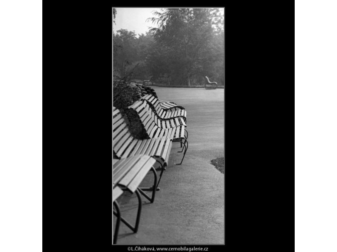 Prázdné lavičky (4856-2), žánry - Praha 1966 září, černobílý obraz, stará fotografie, prodej