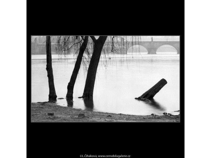 Stromy (5028-7), žánry - Praha 1966 prosinec, černobílý obraz, stará fotografie, prodej