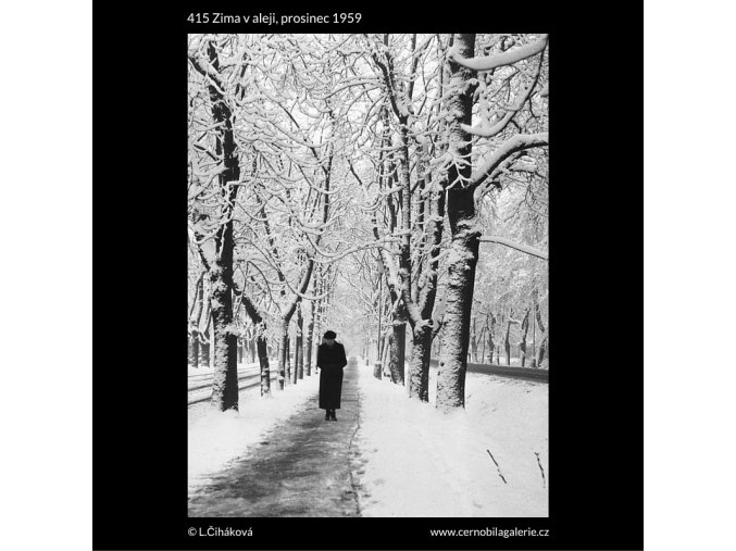 Zima v aleji (415), žánry - Praha 1959 prosinec, černobílý obraz, stará fotografie, prodej
