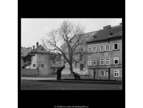 Kluci na Kampě (526), žánry - Praha 1960 duben, černobílý obraz, stará fotografie, prodej