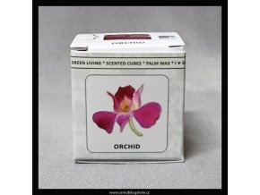 12571 aroma kostky orchidea