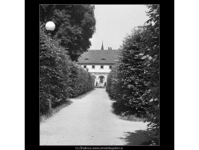 Cesta lemovaná keři (167-1), Praha 1959 červen, černobílý obraz, stará fotografie, prodej