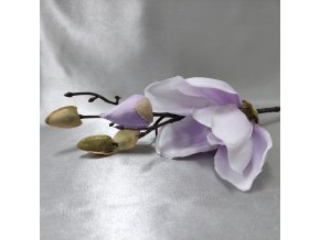 202214 I magnolie-vetvicka-35-fialova