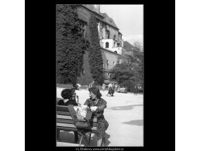 V jižních zahradách Hradu (266-8), Praha 1959 , černobílý obraz, stará fotografie, prodej