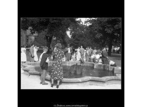 U jezírka v jižních zahradách (266-13), Praha 1959 , černobílý obraz, stará fotografie, prodej
