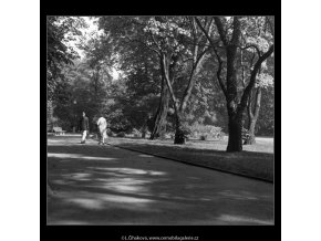 Chotkovy sady (380), Praha 1959 , černobílý obraz, stará fotografie, prodej