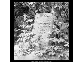 Ze židovského hřbitova (608-9), Praha 1960 květen, černobílý obraz, stará fotografie, prodej